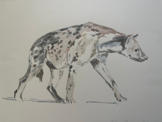 Hyena