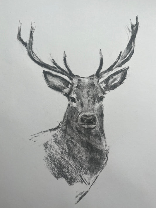 Stag