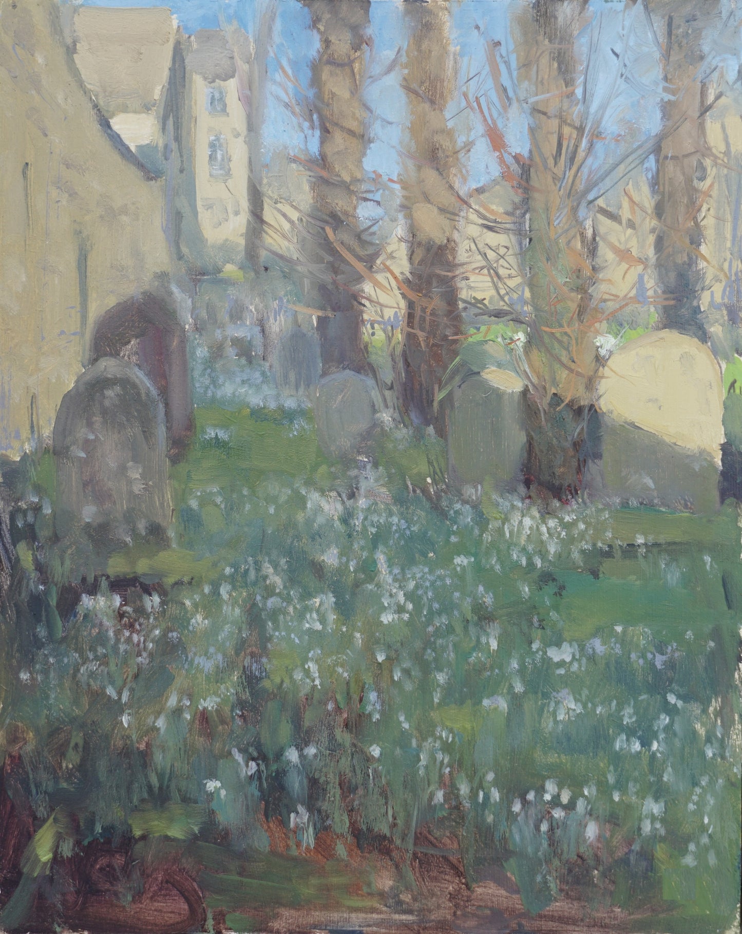 Snowdrops in the Shade, St John’s, Burford