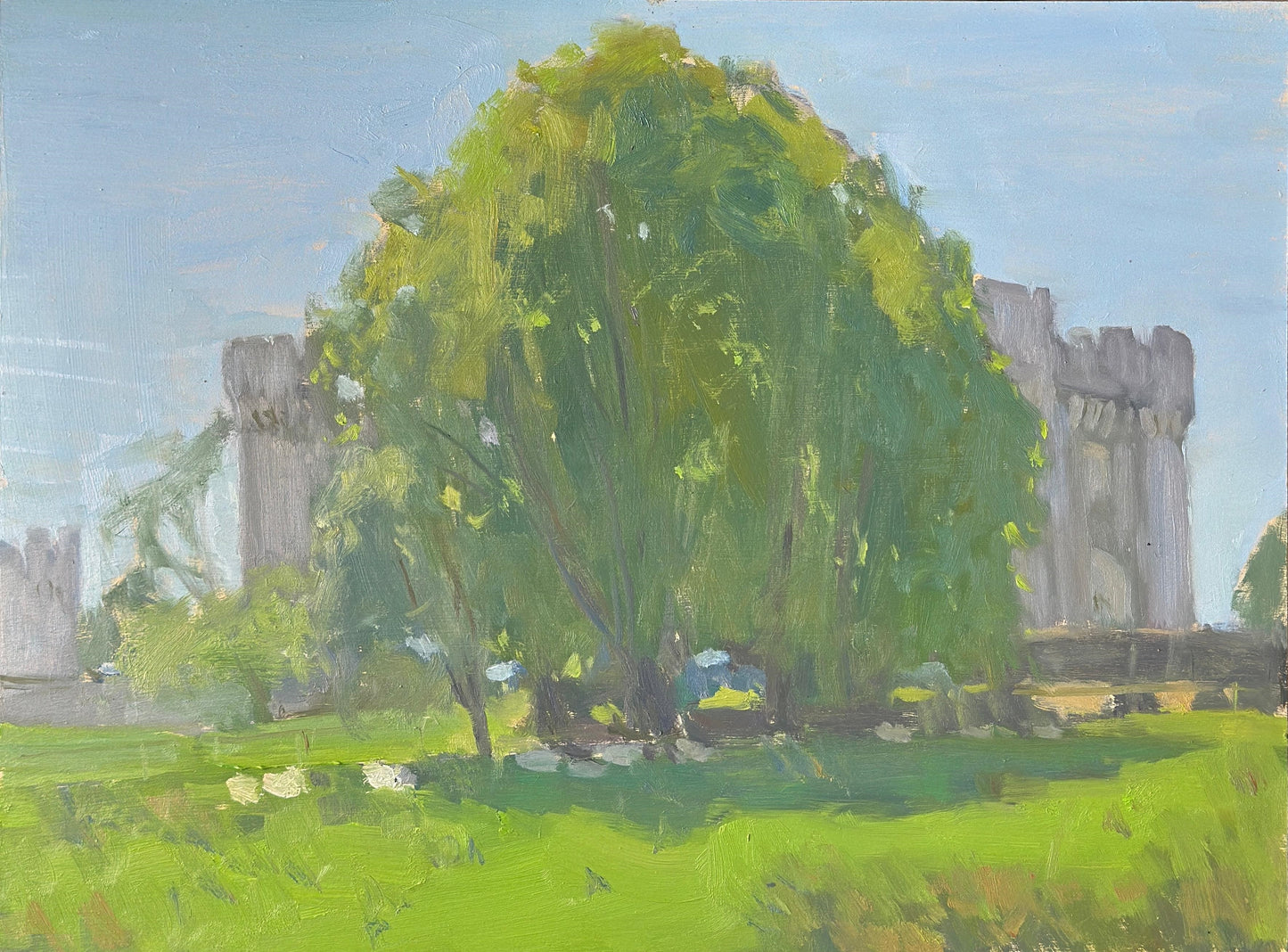 Sheep in the Shade, Wray Castle