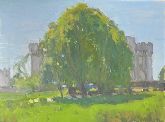 Sheep in the Shade, Wray Castle
