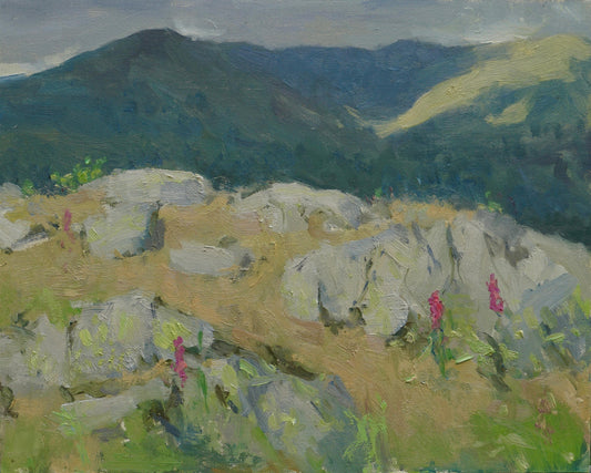 Before the Rain, Todd Crag