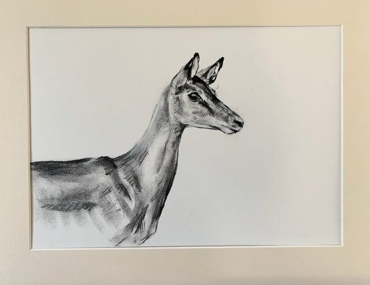Impala Sketch
