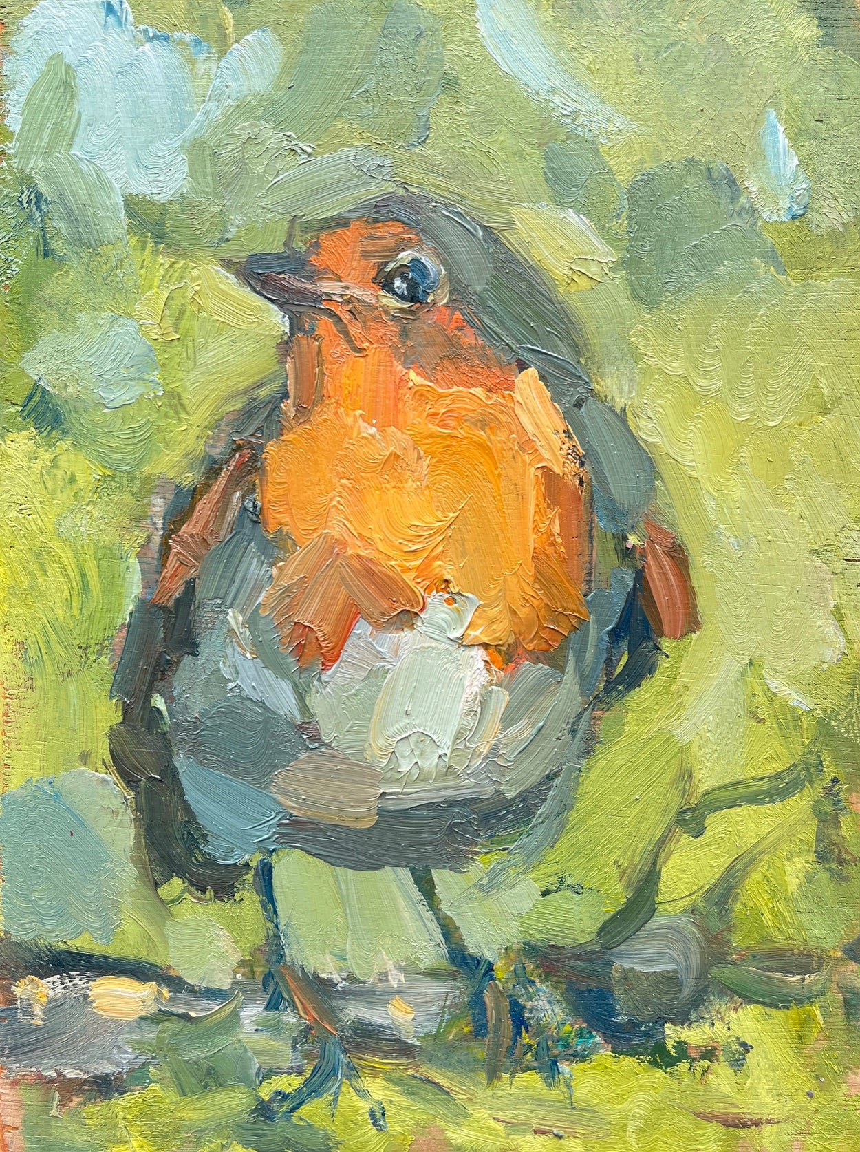 Little Robin