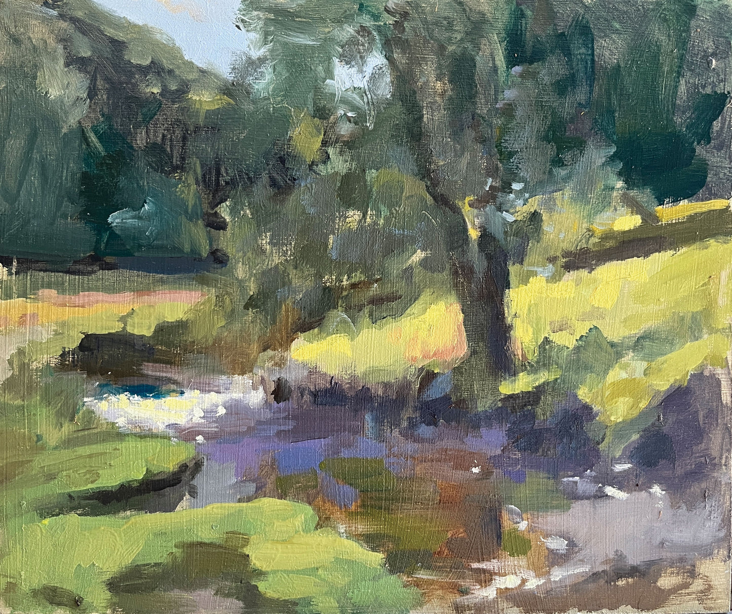 River Barle, Simonsbath