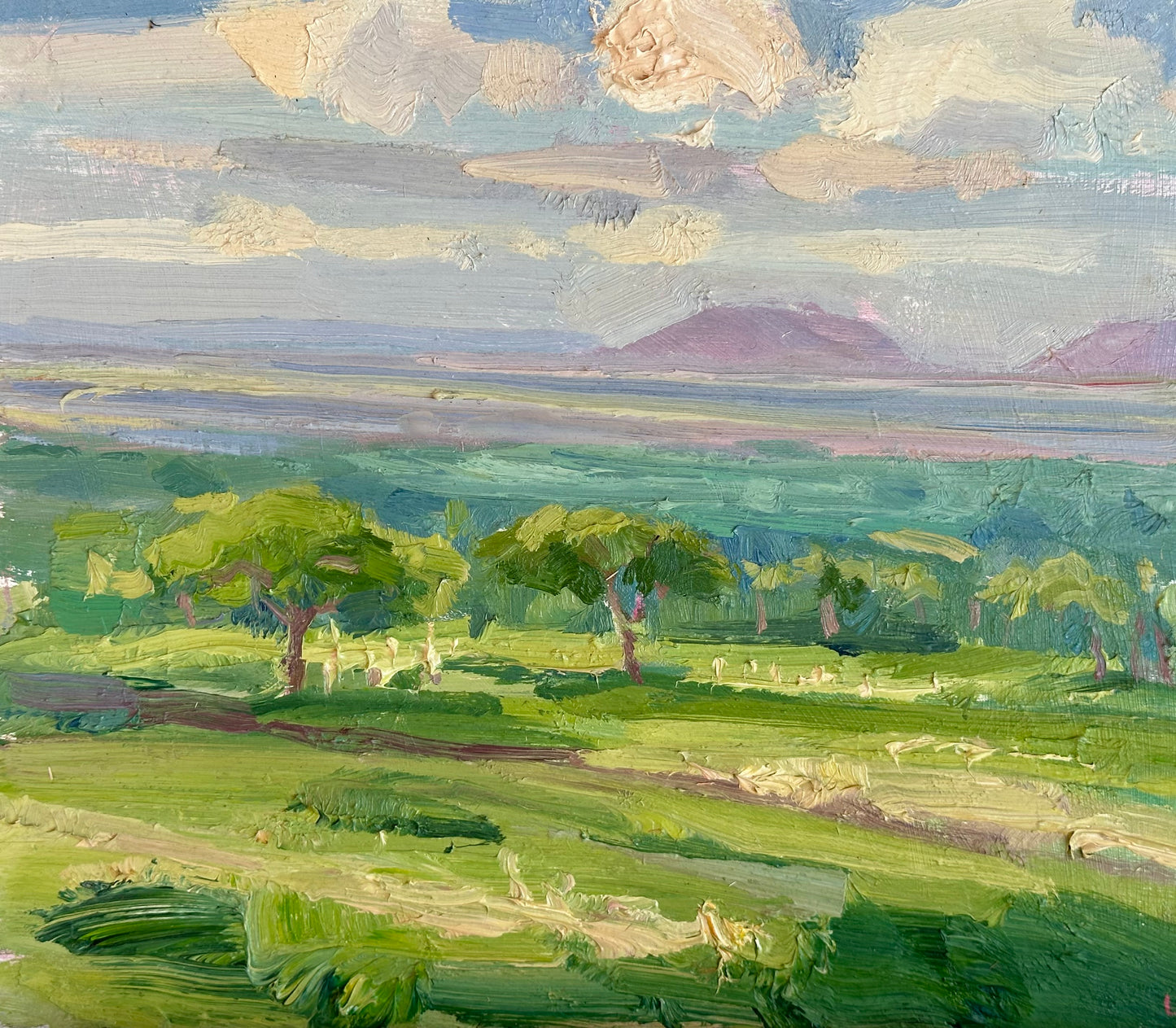 Morning on the plains, Kenya