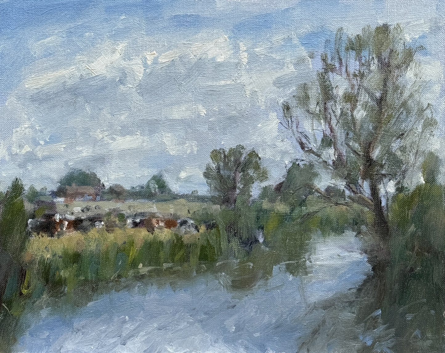 Cows by the Thames, Lechlade