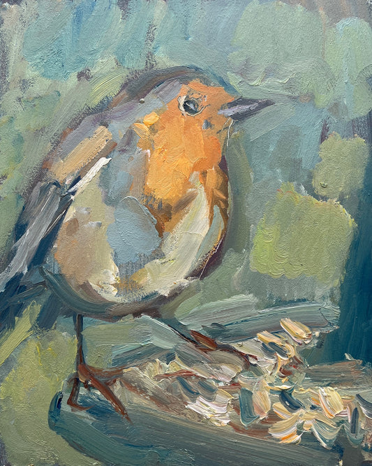 Robin Feeding