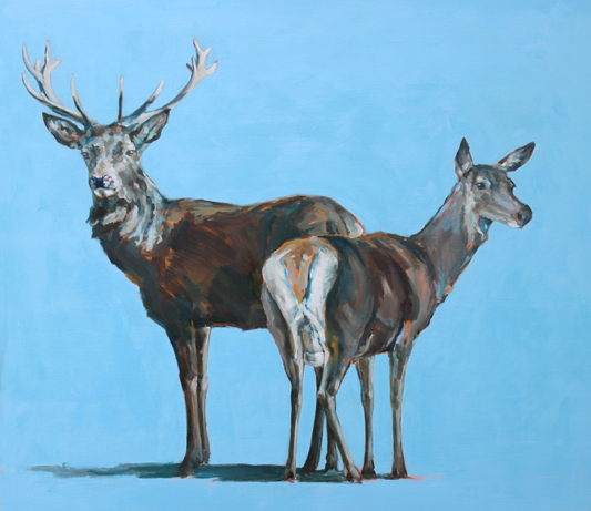 Stag and doe