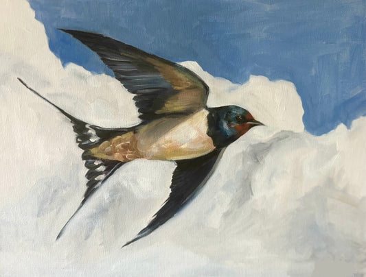 Swallows and clouds