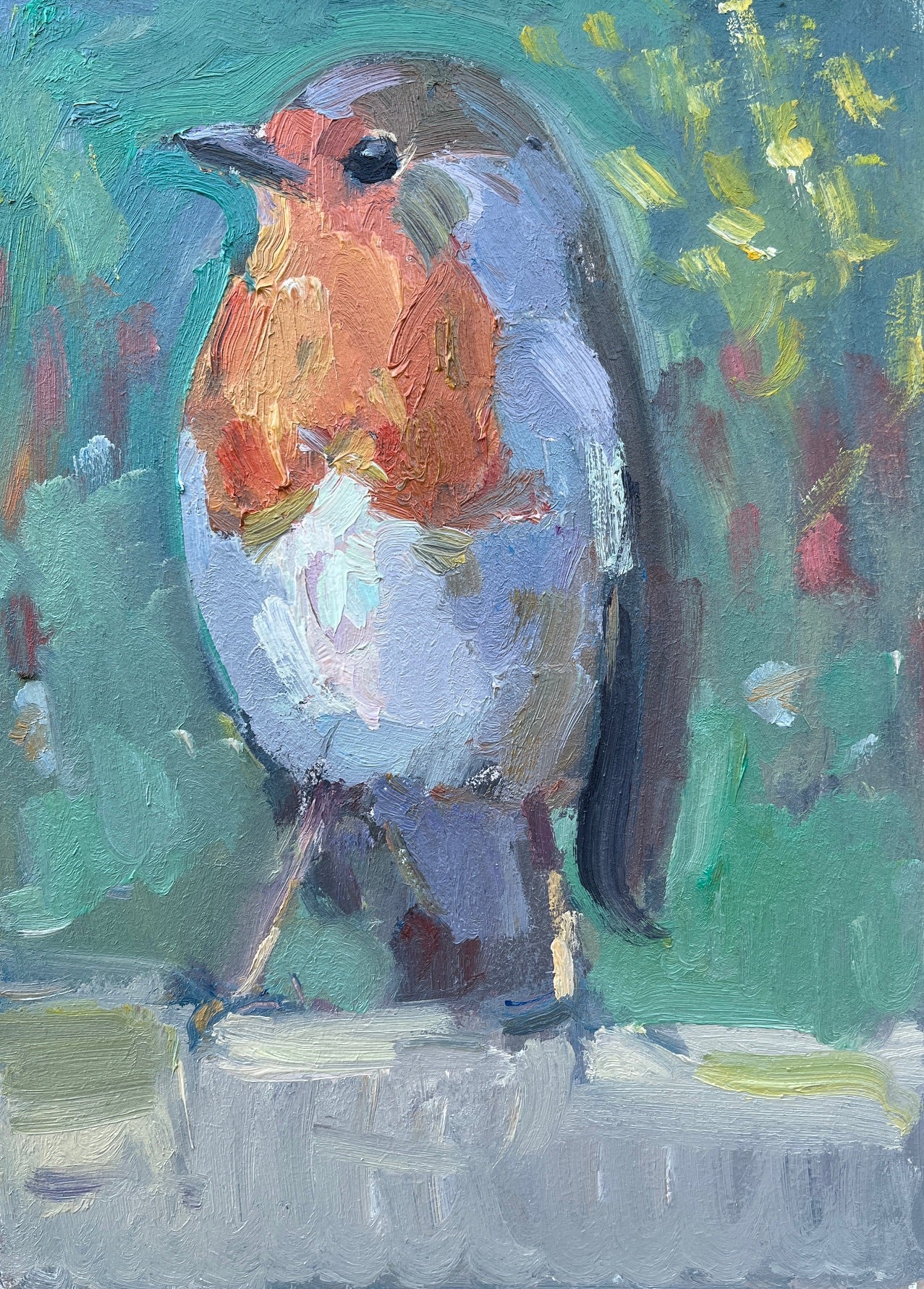 The Curious Robin