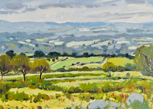 View over Exmoor