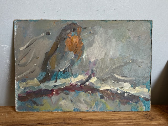 Winter Robin