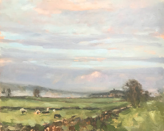 Morning mist