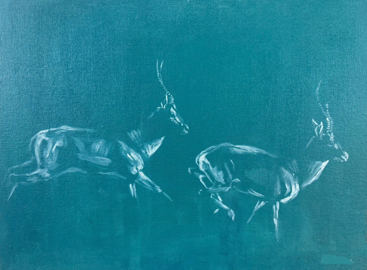 Impala study from Kenya