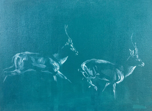 Impala study from Kenya