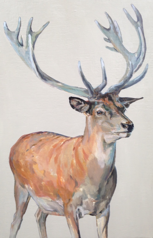 Stag