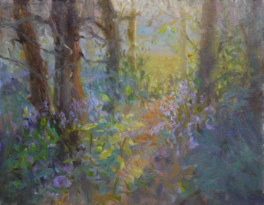 Through the bluebells